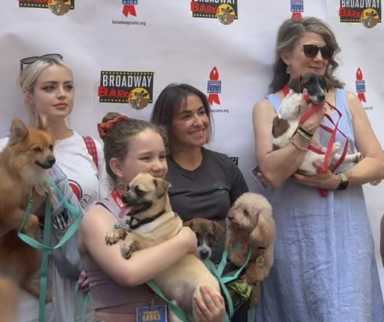 Broadway stars helped to get local cats and dogs adopted.